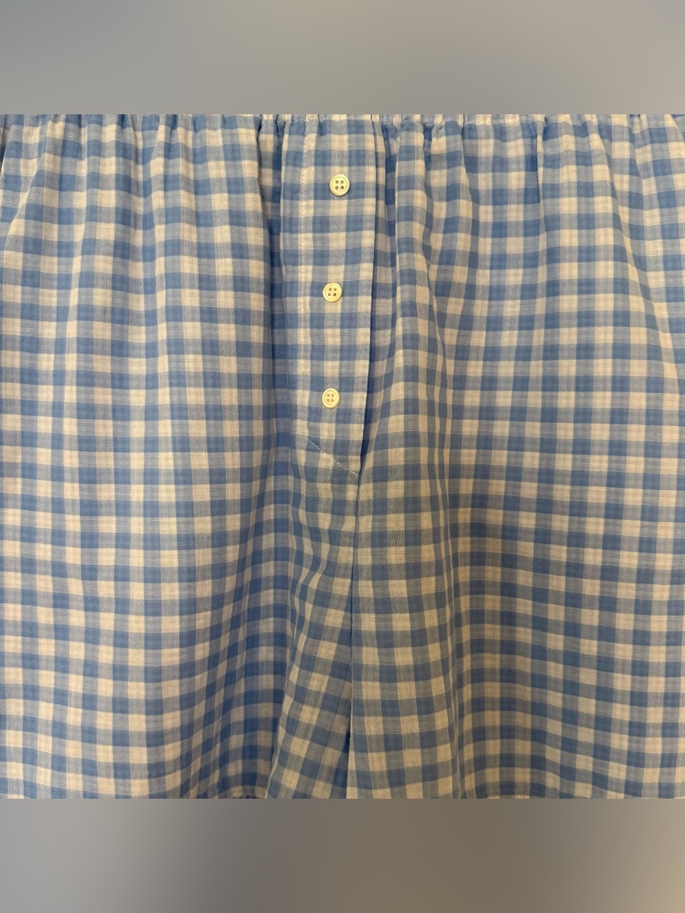 Favorite Daughter The Ex Boyfriend Blue Gingham Boxer Shorts Sz S Cotton Pull-On - Picture 2 of 5